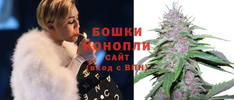 Бошки марихуана Amnesia  Владивосток 